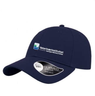 Sporty Cap