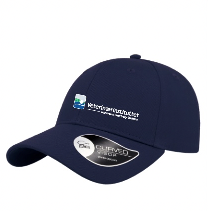 Sporty Cap
